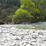 rivière-bléone-chateaux-arnoux-nature-paysage-printemps