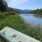 Découvrir la faune de l'hôtel du lac